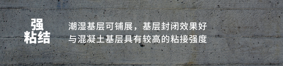emc易倍·(中国)体育官方网站-EMC SPORTS